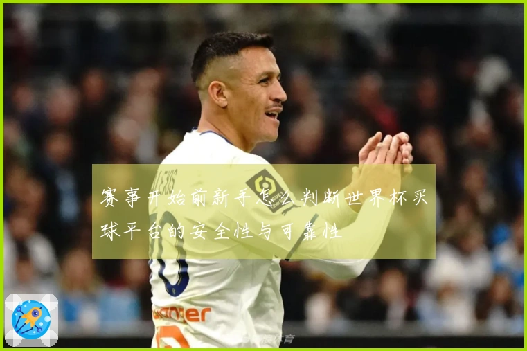 赛事开始前新手怎么判断世界杯买球平台的安全性与可靠性