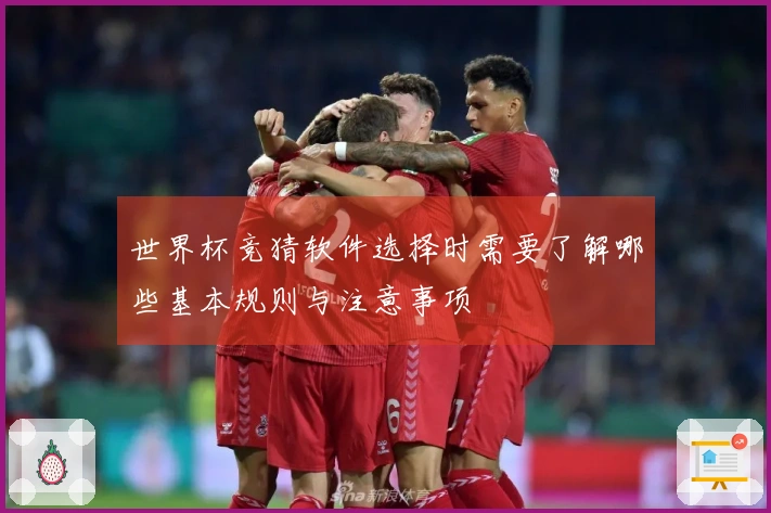 世界杯竞猜软件选择时需要了解哪些基本规则与注意事项