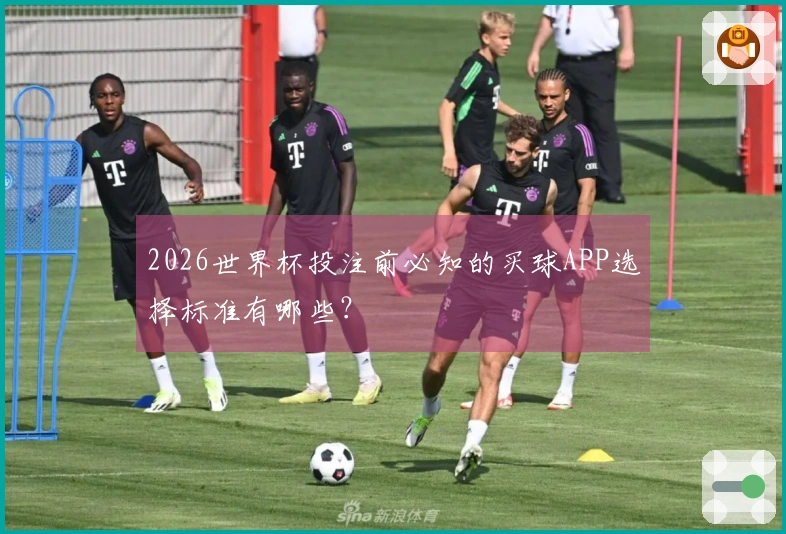 2026世界杯投注前必知的买球APP选择标准有哪些？