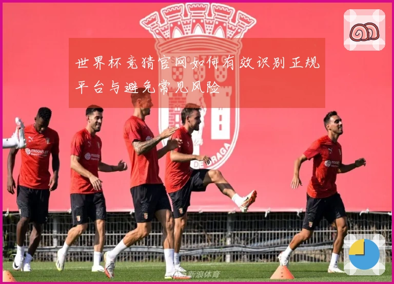 世界杯竞猜官网如何有效识别正规平台与避免常见风险