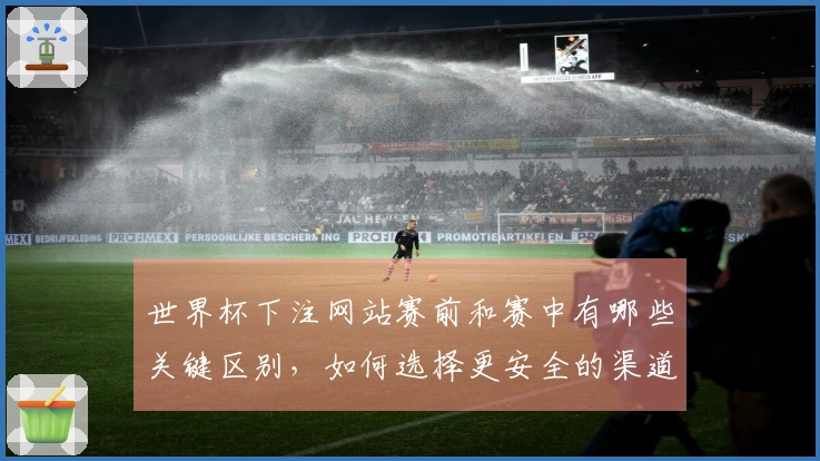 世界杯下注网站赛前和赛中有哪些关键区别，如何选择更安全的渠道？